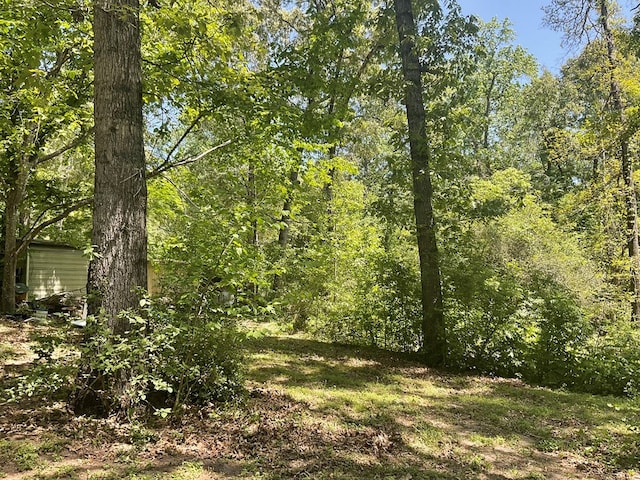 4499 Weaver Bend Rd, Huntington, TX 75949 - view of local wilderness with a view of trees