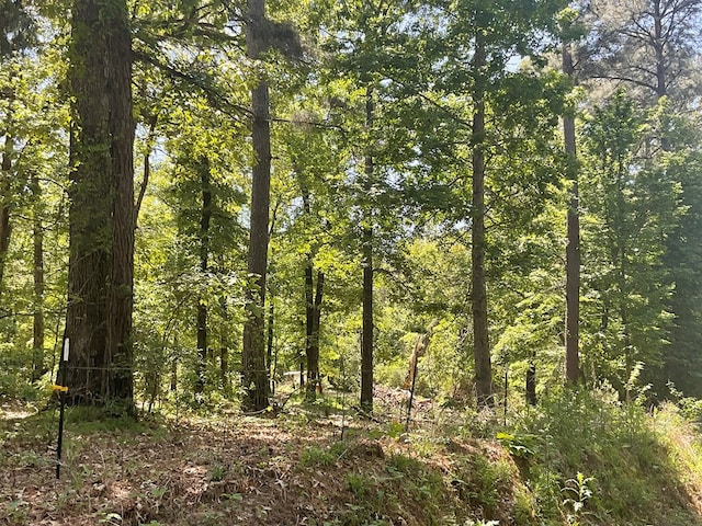 4499 Weaver Bend Rd, Huntington, TX 75949 - view of nature with a view of trees