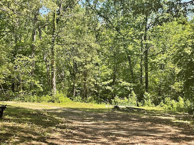 4499 Weaver Bend Rd, Huntington, TX 75949 - view of local wilderness featuring a view of trees