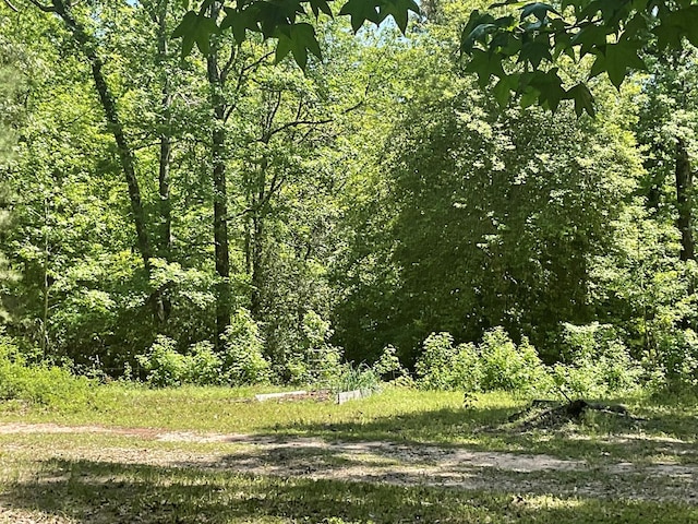 4499 Weaver Bend Rd, Huntington, TX 75949 - view of local wilderness with a view of trees