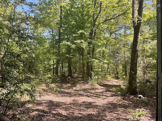 4499 Weaver Bend Rd, Huntington, TX 75949 - view of landscape with a wooded view