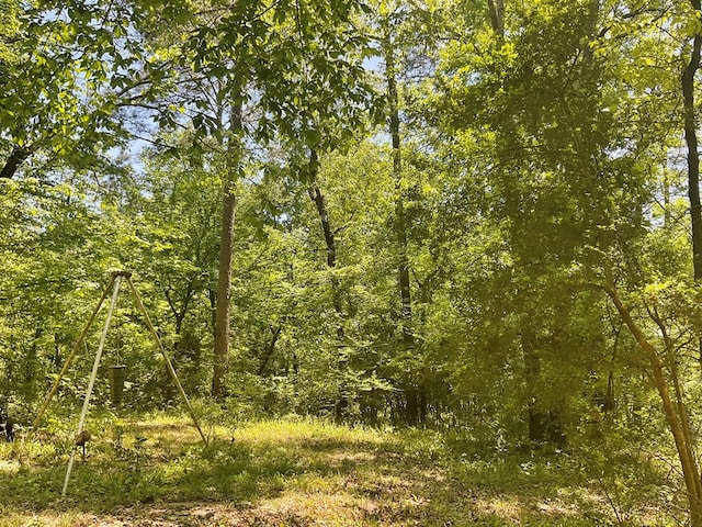 4499 Weaver Bend Rd, Huntington, TX 75949 - view of landscape featuring a forest view