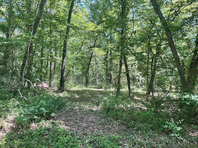 4499 Weaver Bend Rd, Huntington, TX 75949 - view of local wilderness with a view of trees