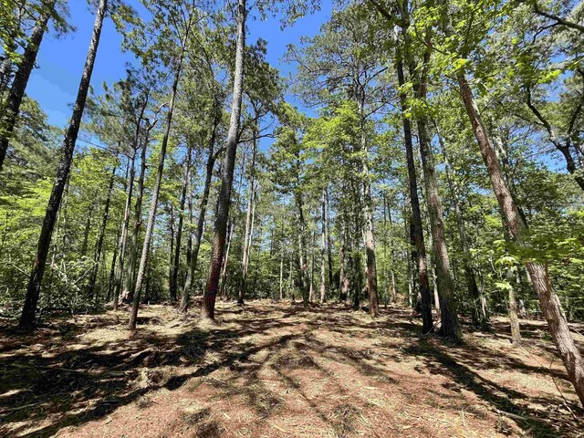 LOT237 Senita Dr, Brookeland, TX 75931