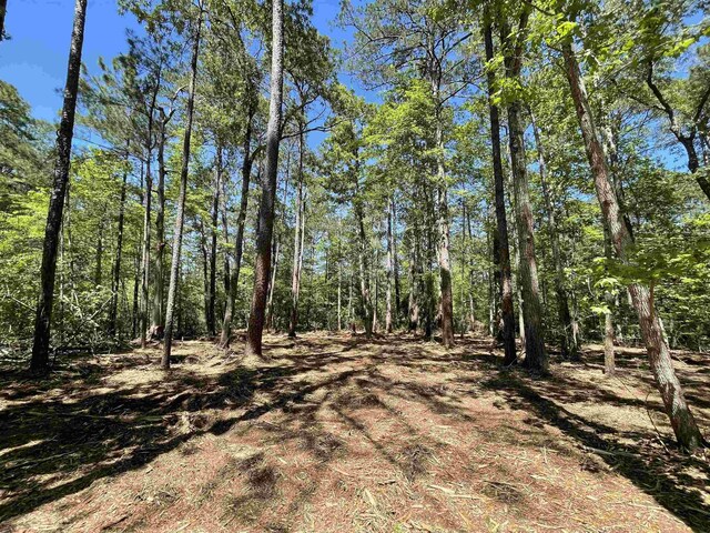 LOT237 Senita Dr, Brookeland, TX 75931