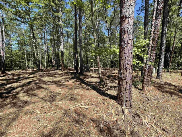LOT237 Senita Dr, Brookeland, TX 75931