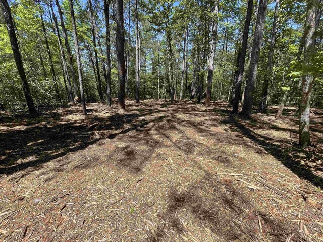 LOT237 Senita Dr, Brookeland, TX 75931