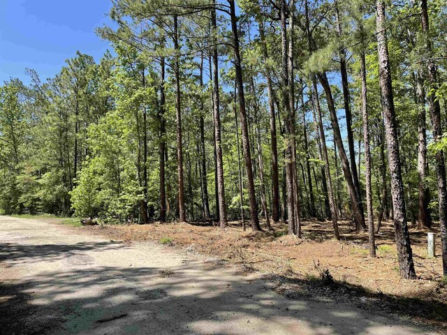 LOT237 Senita Dr, Brookeland, TX 75931
