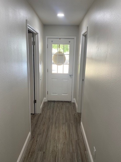 doorway to outside with dark wood-type flooring