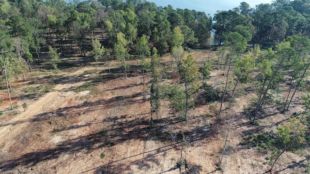 945 Nine Mile Rd, Milam, TX 75959