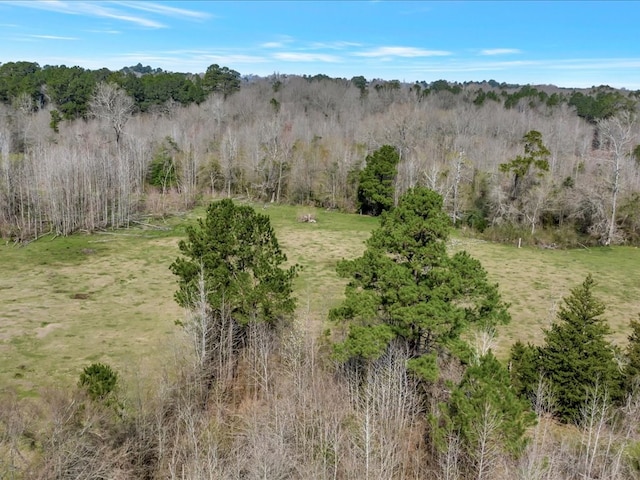 1159 County Road 195, Garrison, TX 75946 - photo 11