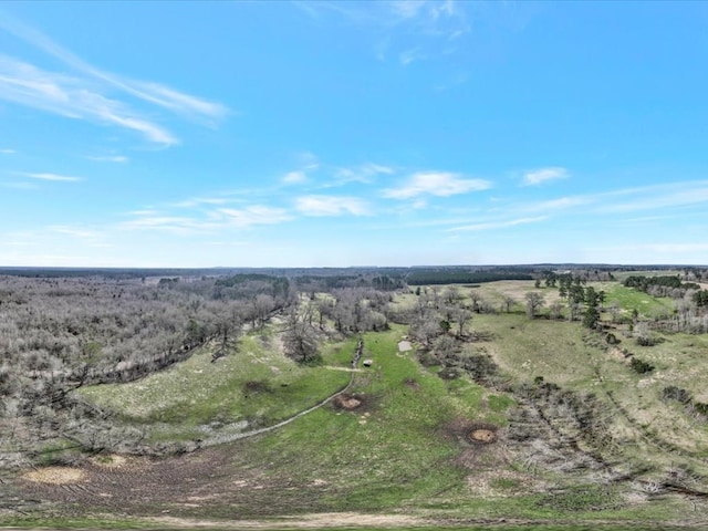 1159 County Road 195, Garrison, TX 75946 - photo 7