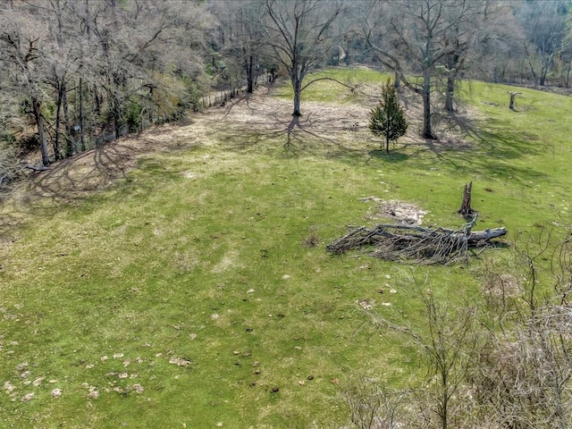 1159 County Road 195, Garrison, TX 75946 - photo 14