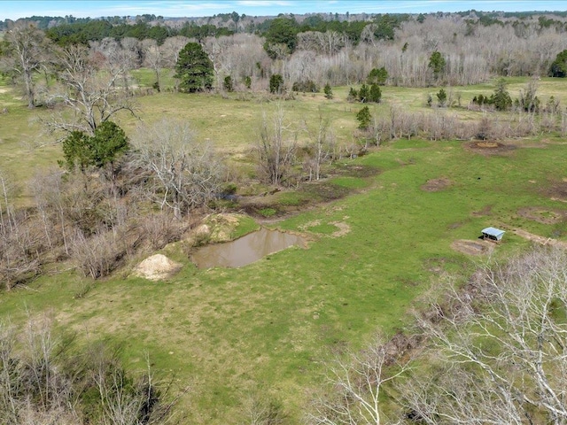 1159 County Road 195, Garrison, TX 75946 - photo 3