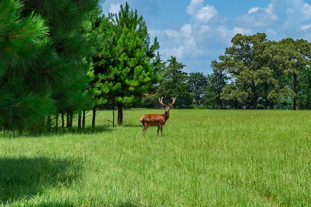 3860 Fm 2259, Nacogdoches, TX 75961 - photo 4