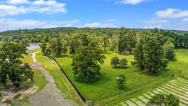 3860 Fm 2259, Nacogdoches, TX 75961 - photo 37