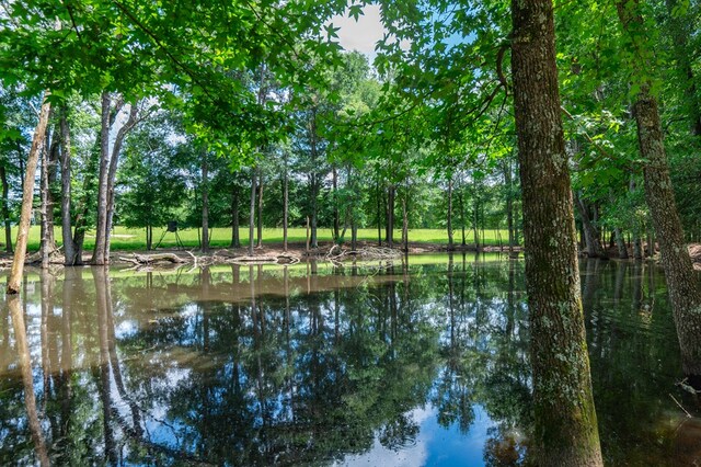 3860 Fm 2259, Nacogdoches, TX 75961 - photo 60
