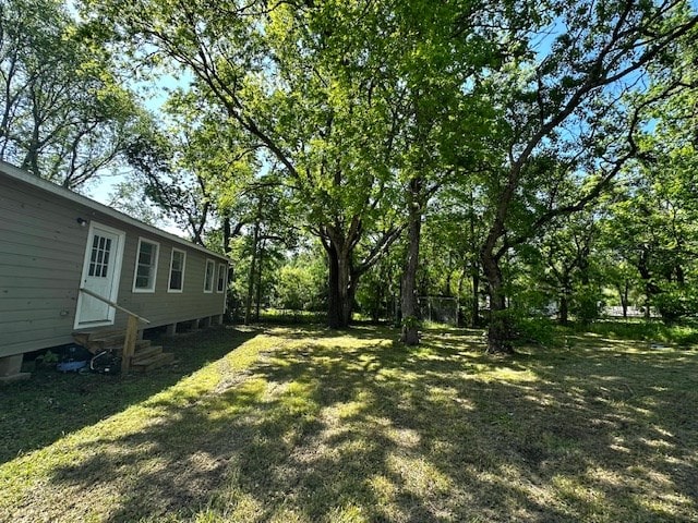 view of yard featuring entry steps