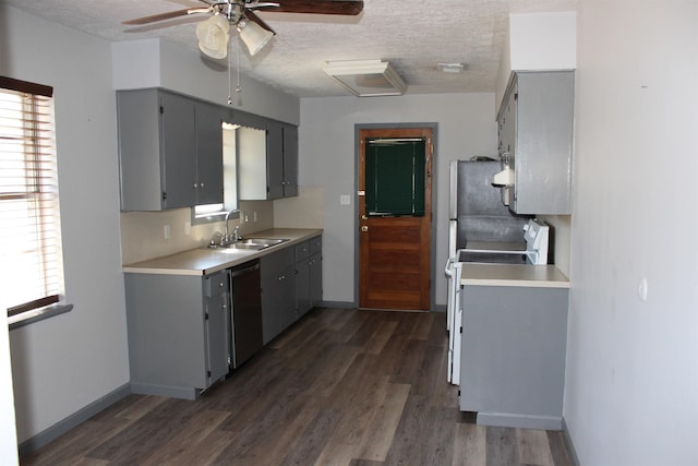 kitchen with ceiling fan, dishwasher, sink, dark wood-type flooring, and gray cabinets