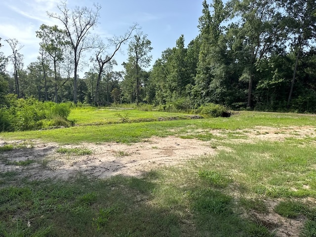 105 Cooper Rd, Zavalla, TX 75980 - view of wooded area