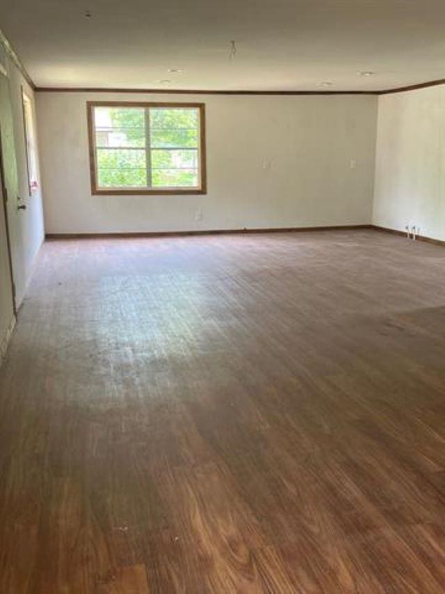 unfurnished room featuring dark wood-type flooring