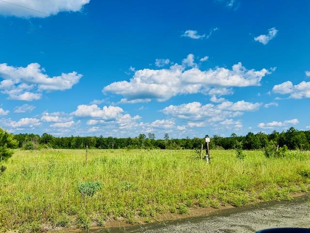 259 County Divide Rd, Bronson TX, 75930 land for sale