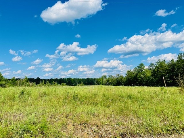 Listing photo 2 for 259 County Divide Rd, Bronson TX 75930