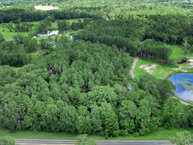 R18985 Fm 2497, Diboll, TX 75941