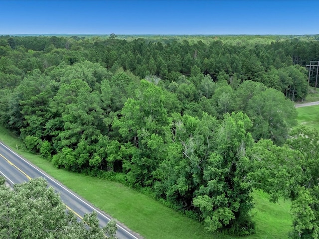 R18985 Fm 2497, Diboll, TX 75941