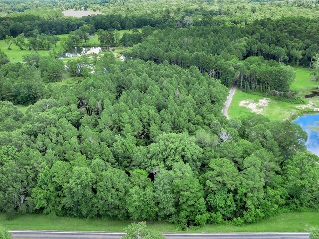 R18985 Fm 2497, Diboll, TX 75941