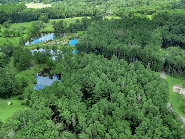 R18985 Fm 2497, Diboll, TX 75941