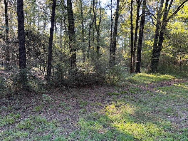 1224 Admiral Dr, Hemphill TX, 75948 land for sale