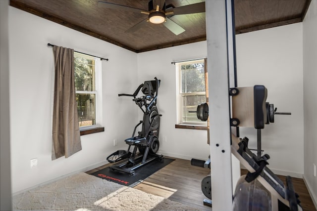 workout area with ceiling fan, crown molding, wooden ceiling, and dark wood-type flooring