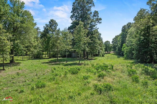 1590 County Road 3801, Joaquin, TX 75954 - photo 11