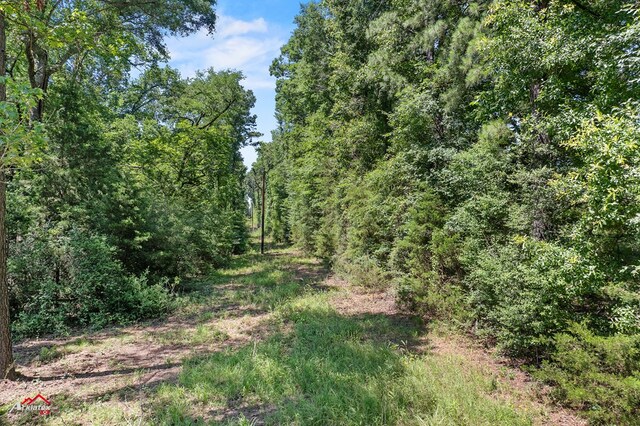 1590 County Road 3801, Joaquin, TX 75954 - photo 9