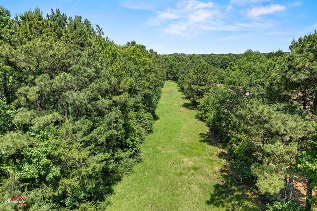 1590 County Road 3801, Joaquin, TX 75954 - photo 7