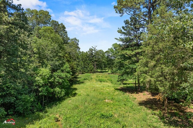 1590 County Road 3801, Joaquin, TX 75954 - photo 8