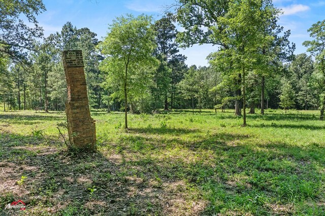 1590 County Road 3801, Joaquin, TX 75954 - photo 16