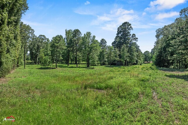 1590 County Road 3801, Joaquin, TX 75954 - photo 10
