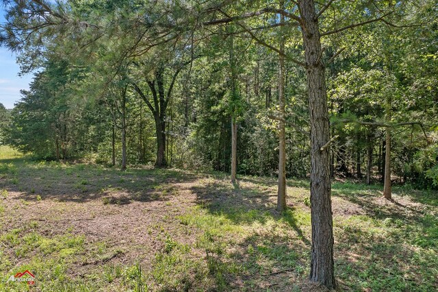 1590 County Road 3801, Joaquin, TX 75954 - photo 13