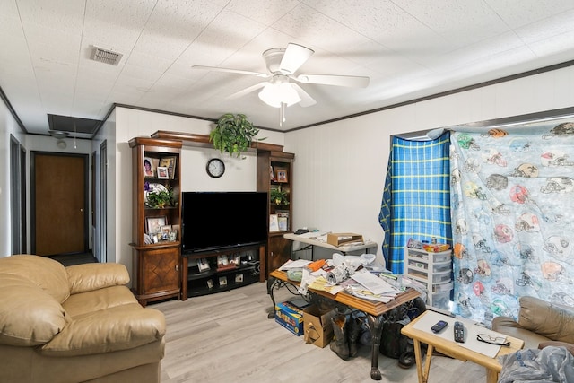 living room with ceiling fan, visible vents, ornamental molding, light wood-type flooring, and attic access