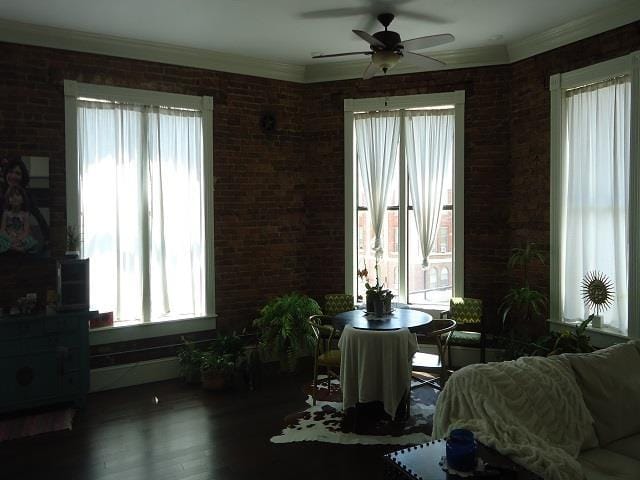 interior space featuring a wealth of natural light, dark hardwood / wood-style flooring, and ceiling fan