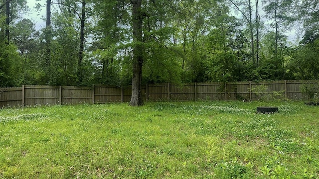 805 Worth St, Hemphill, TX 75948 - view of yard featuring a fenced backyard