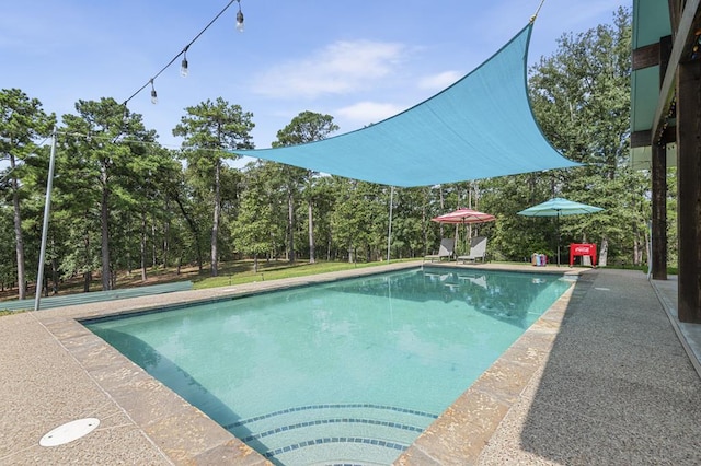 view of swimming pool