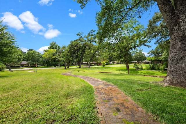 915 Evans Dr, Lufkin, TX 75904 - view of community with a yard