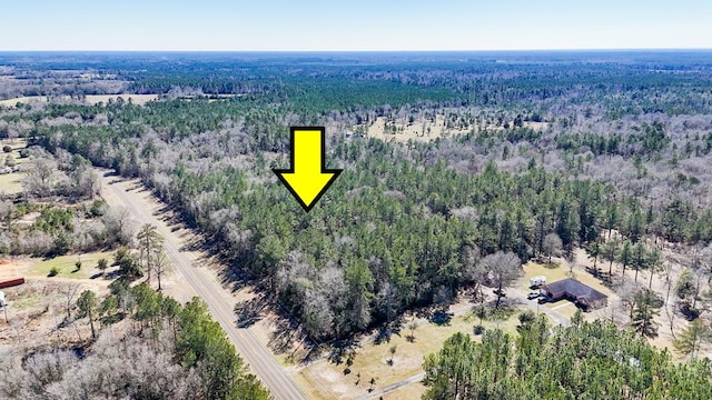 11209 County Road 509, Kirbyville TX, 75956 land for sale