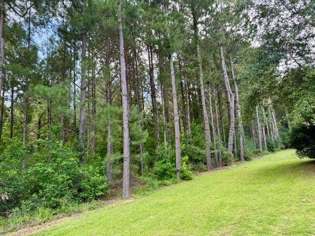 757 County Road 451, Kirbyville, TX 75931 - photo 18