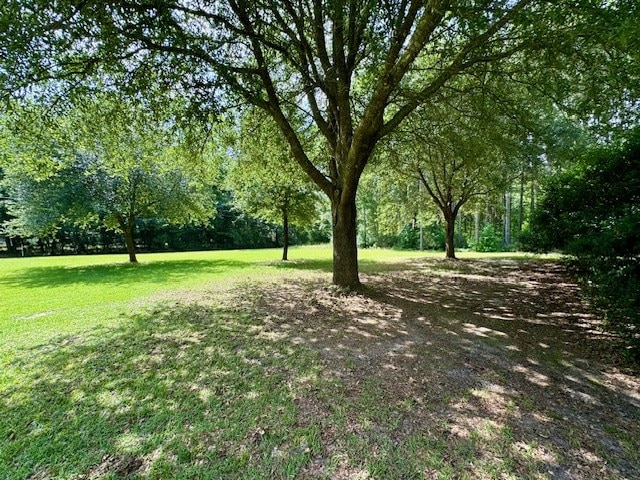 757 County Road 451, Kirbyville, TX 75931 - photo 16