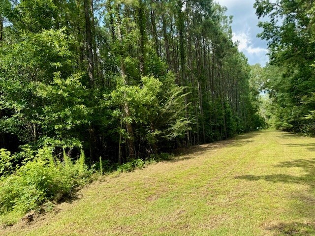 757 County Road 451, Kirbyville, TX 75931 - photo 20