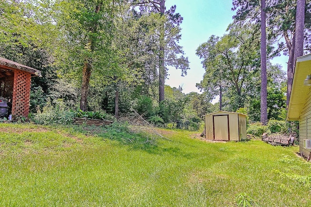 view of yard with a storage shed